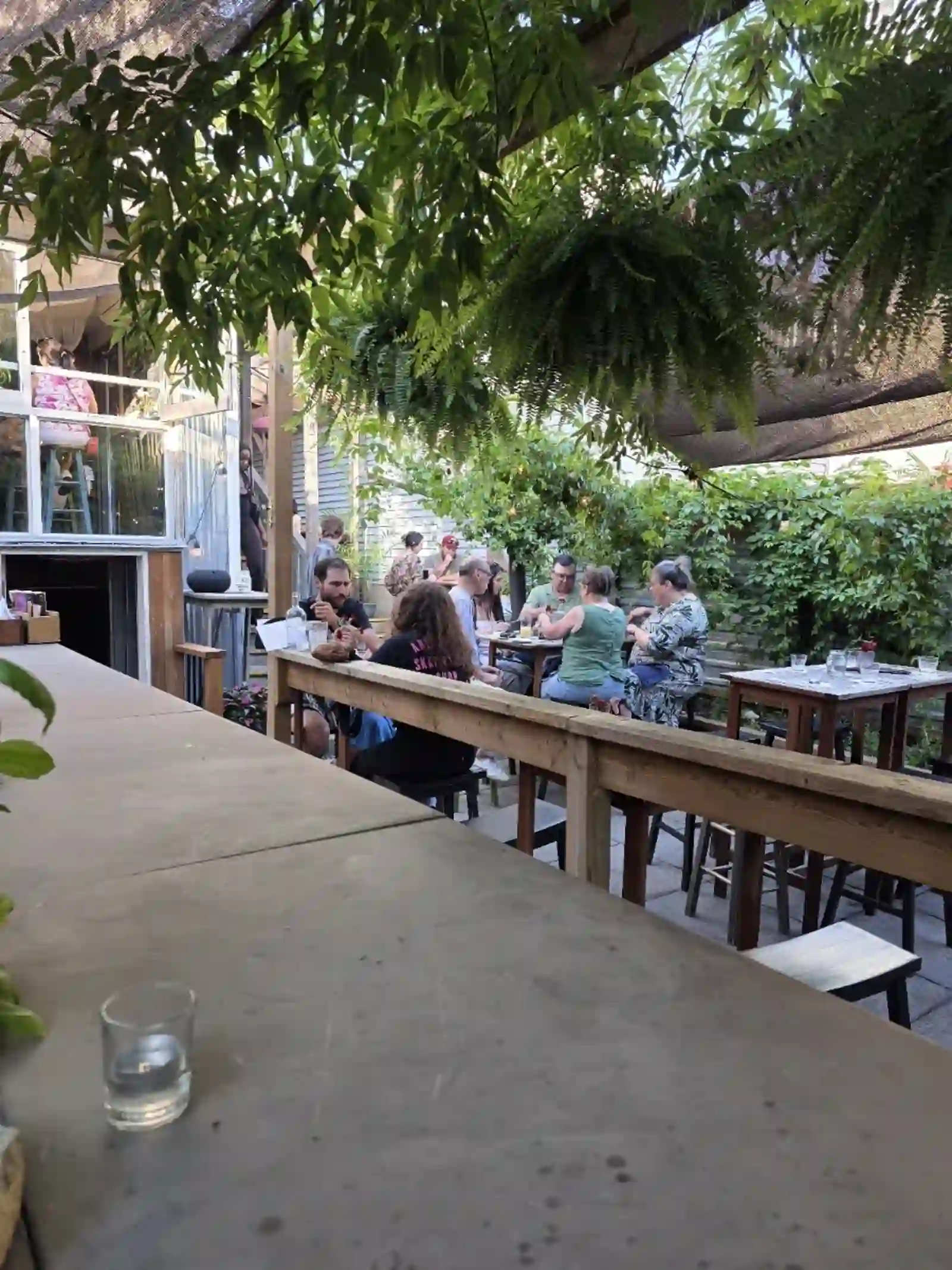 Lush garden patio with wooden counters, hanging ferns and seated guests